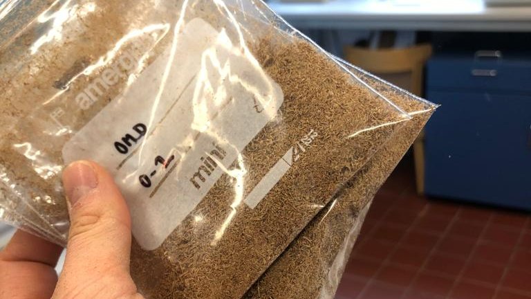 Peat_and_Trees's tweet image. #Labupdate: We had a baking day in the lab! After being oven-dried and ground, these #peat samples will be dated by measuring the activity of radioactive lead and caesium. This is important for interpreting paleodata: if we observe a pattern, we want to know when it happened.