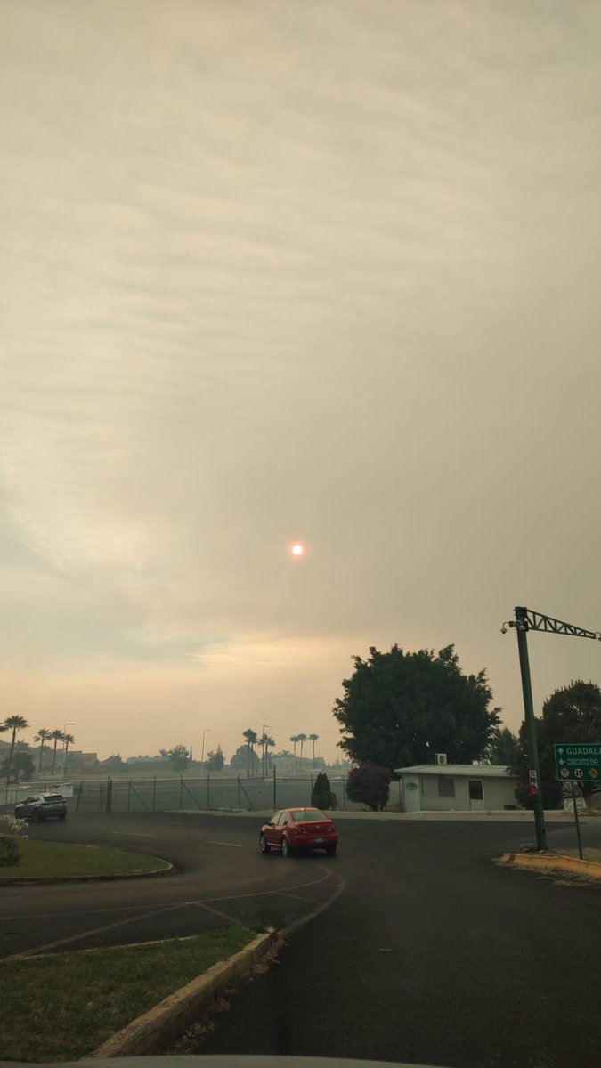 Ramiro_Escoto's tweet photo. Más Fotos del amanecer en #Humolajara este Martes... irrespirable.

fotos: Luis Javier Rojo (Bugambilias) https://t.co/4IfQIwUDzc