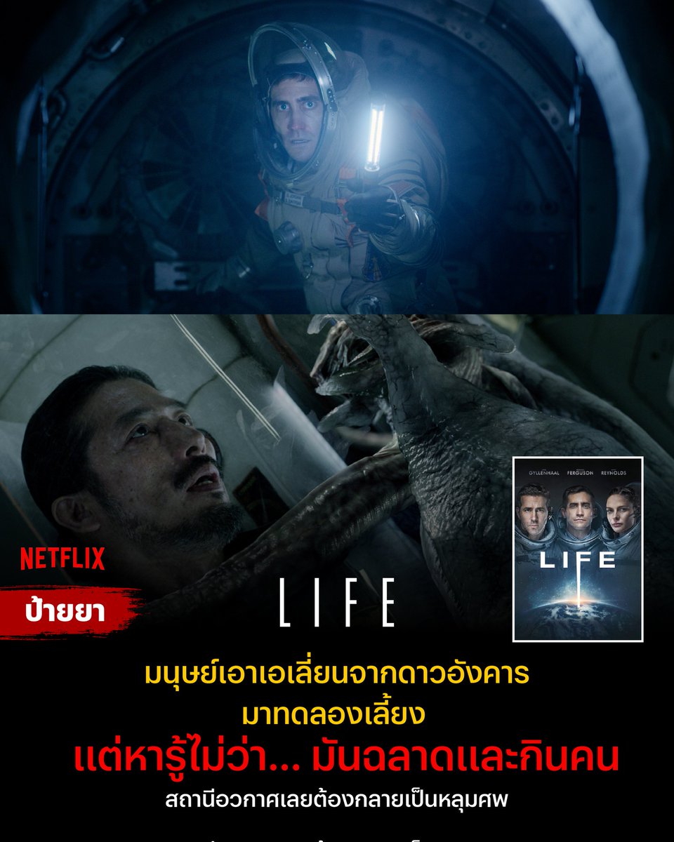 ♡ ɴᴇᴛғʟɪx ᴘʀᴇᴍɪᴜᴍ♡

꒰♡꒱ 7 วัน 40฿ รีทวีตลดเหลือ 33฿
꒰♡꒱30 วัน 100฿ รีทวีตลดเหลือ 95฿

🍯 แอคไทย จอส่วนตัว ดูได้ทุกอุปกรณ์
🐝 สั่งซื้อ lin.ee/qg8lHin 

#เน็ตฟลิกซ์ราคาถูก #หารเน็ตฟลิกซ์ราคาถูก #หารnetfilxราคาถูก #netflixราคาถูก #เน็ตฟิกราคาถูก