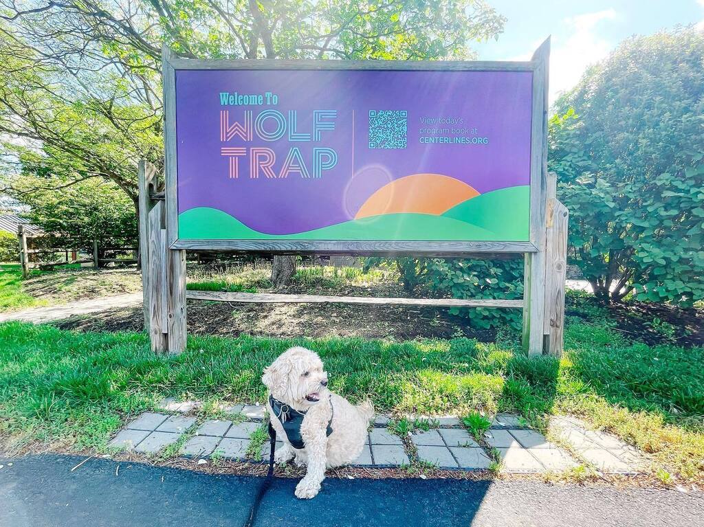 mgmros's tweet photo. Jaws: We managed to squeeze in one more park on our way home. Jaws became a BARK Ranger @wolftrapnps for the Performing Arts - the only national park dedicated to presenting the performing arts. https://t.co/ngoqXSftFk https://t.co/Hs9WcXd7lD