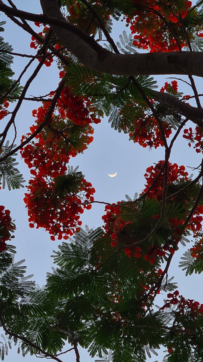 zeeaurav's tweet photo. Beautiful in red https://t.co/KhdW7KqwBX
