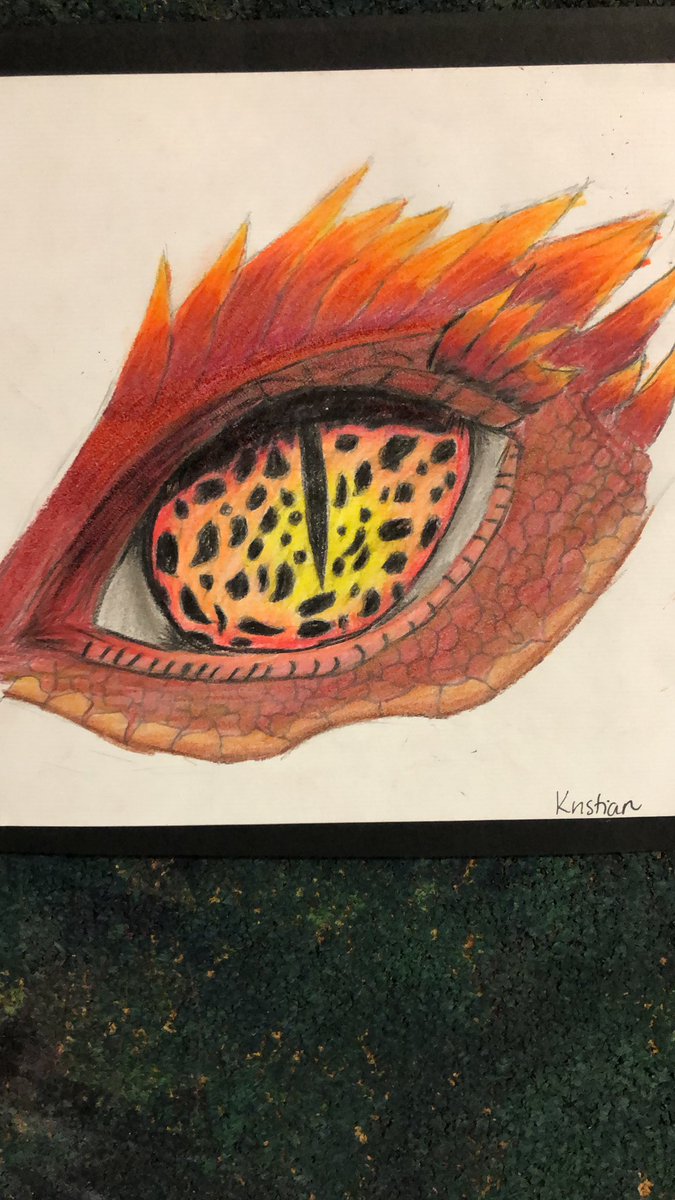 inthavaly's tweet photo. Beautiful animal eye portraits coming along nicely @FaywoodABC @tdsb @LC2_TDSB https://t.co/QR5evdxJvU