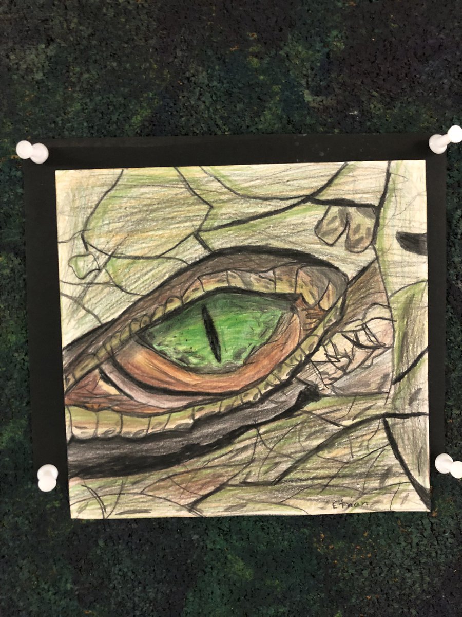 inthavaly's tweet photo. Beautiful animal eye portraits coming along nicely @FaywoodABC @tdsb @LC2_TDSB https://t.co/QR5evdxJvU