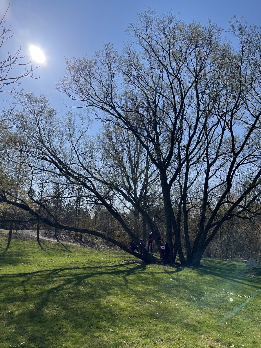 AMETFOenviro's tweet photo. It’s a beautiful morning for some learning ‘dehors’! 
⁦@bedfordps⁩ 
#iAMoutside https://t.co/FxKIaVITHr
