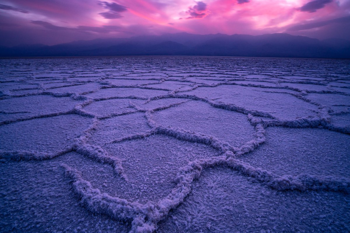 ﾟ✧*̣̩⋆ Jen Grand ✧*̣̩☽⋆ tweet media