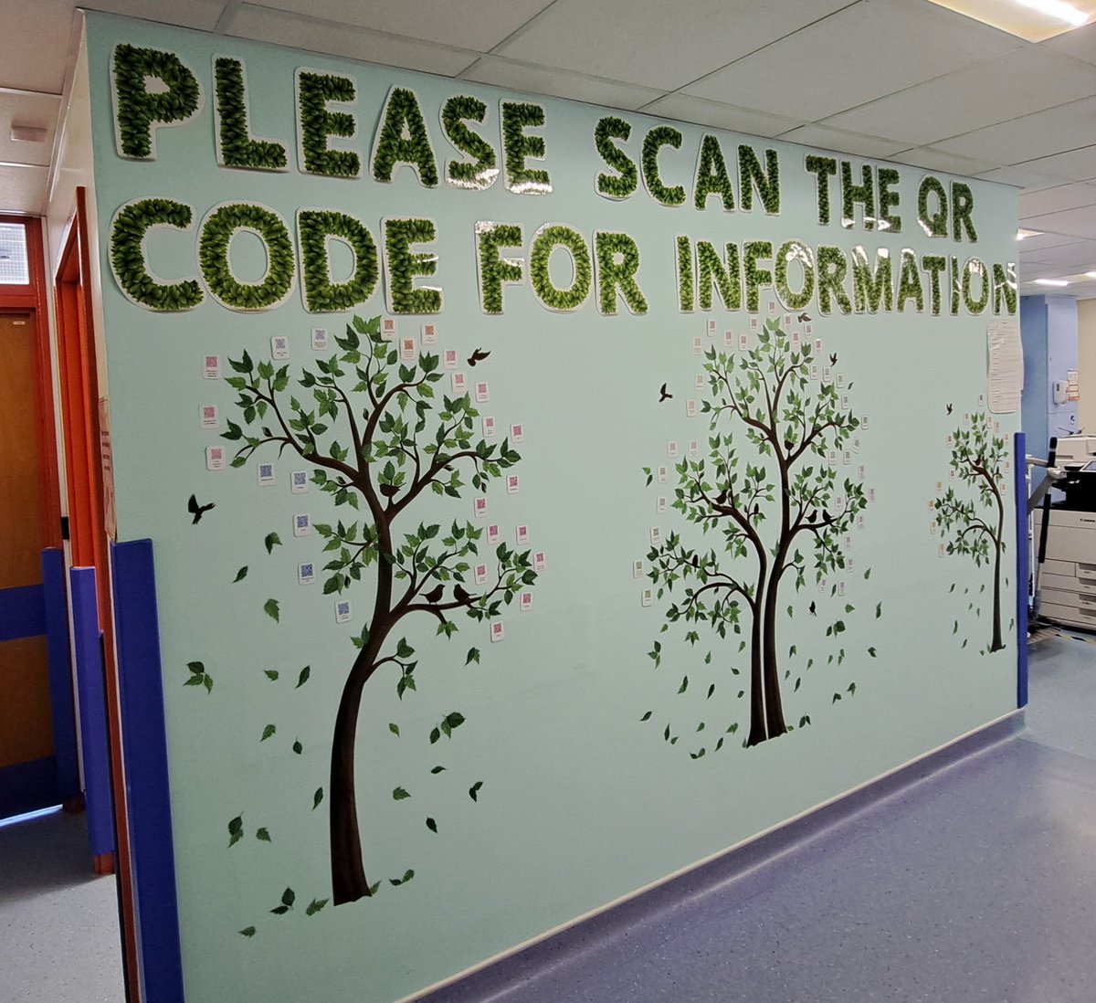 Royal Devon Patient Experience Team tweet media