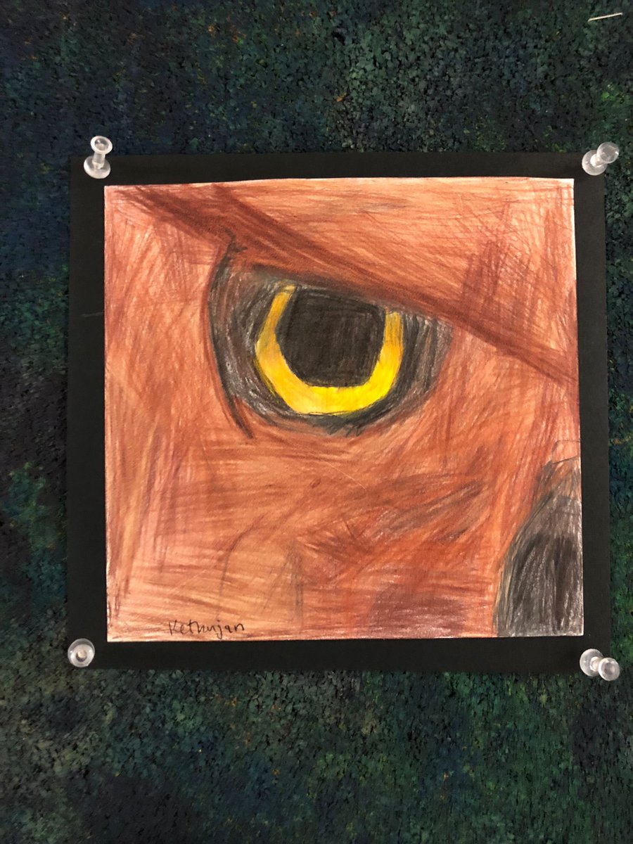 inthavaly's tweet photo. More amazing animal eye portraits from 7/8 students @FaywoodABC @LC2_TDSB https://t.co/o4vOnSS5RV