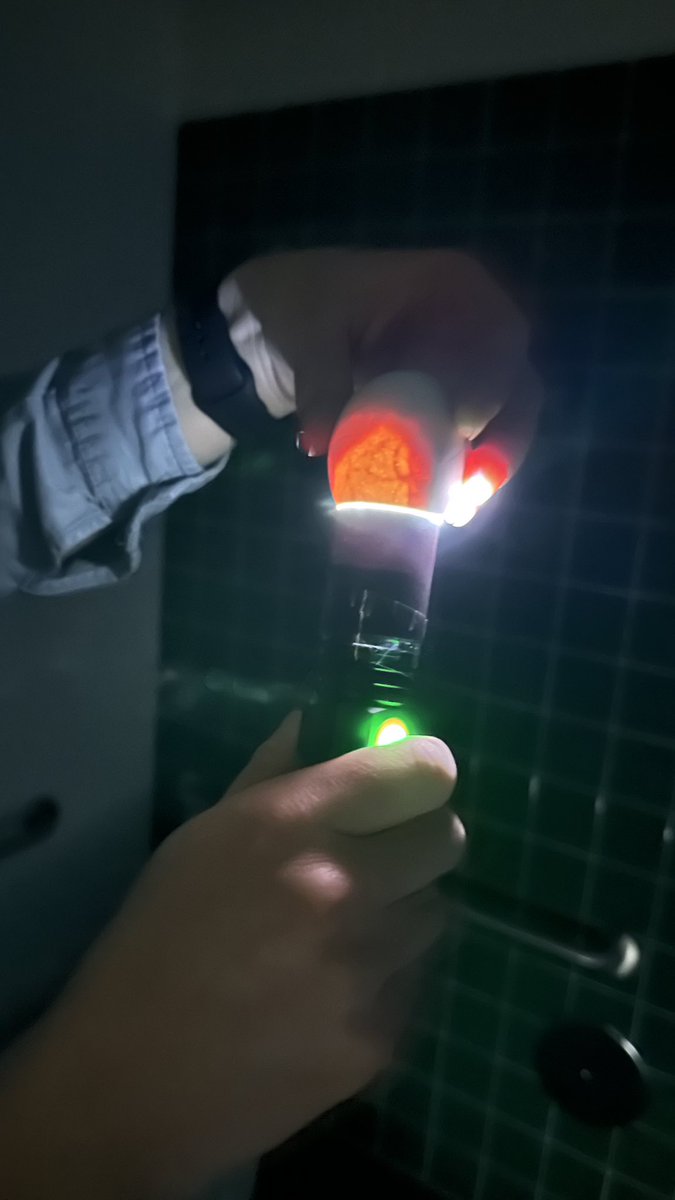 It’s HAPPENING!! T-Minus 7 days until hatching!! 🐣 ♥️ <a href="/TracyNg79934753/">Tracy Nguyen</a> <a href="/sarah_trinen/">Sarah Trinen</a> <a href="/E_ThompsonES/">Elaine Thompson Elementary</a>