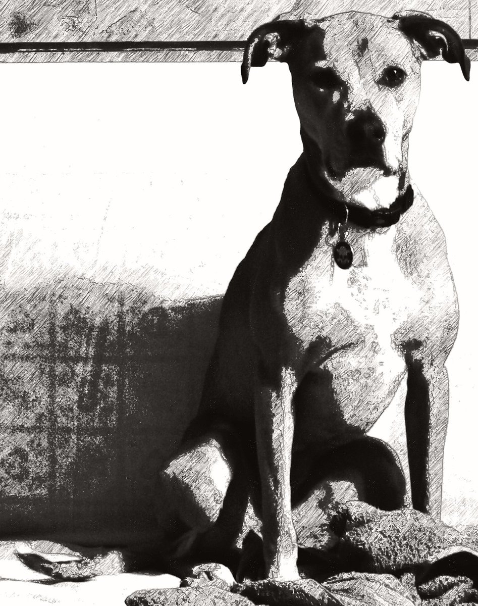 Proxonox tweet media