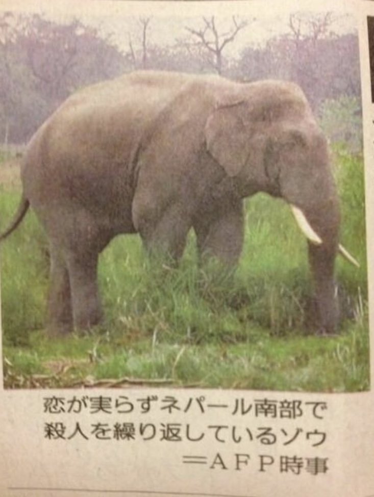 U_2_5_6_P's tweet photo. https://t.co/ufsVQwA159