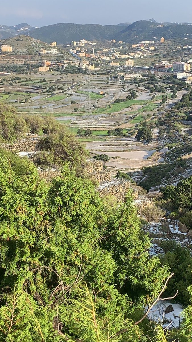 #السودة_اليوم