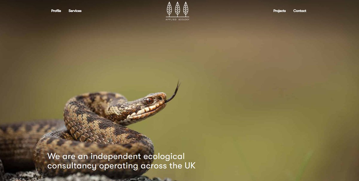 appliedecology's tweet photo. Our new website launched today! You will find information on the services we provide, a wide variety of project case studies, and details on how to get in touch.

https://t.co/Q59EeKP6Sl https://t.co/yy9uiAGc04