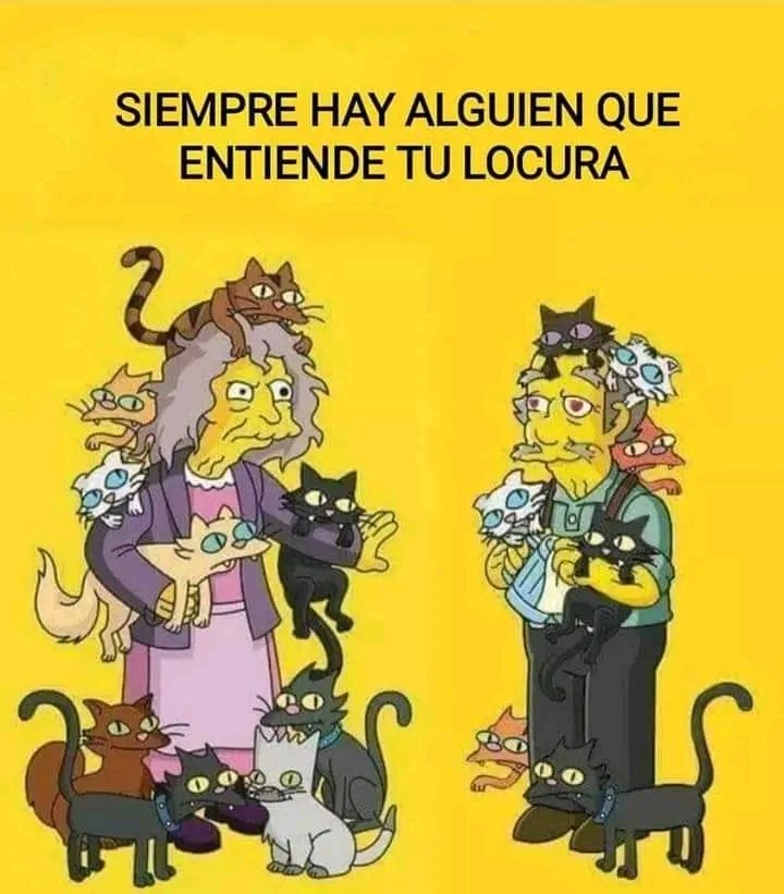 Tiofelino's tweet photo. ¿Tienes esa persona con la que puedes compartir el amor por los gatos? Menciona la o arrobala 🐱 https://t.co/UiUgFazpcF