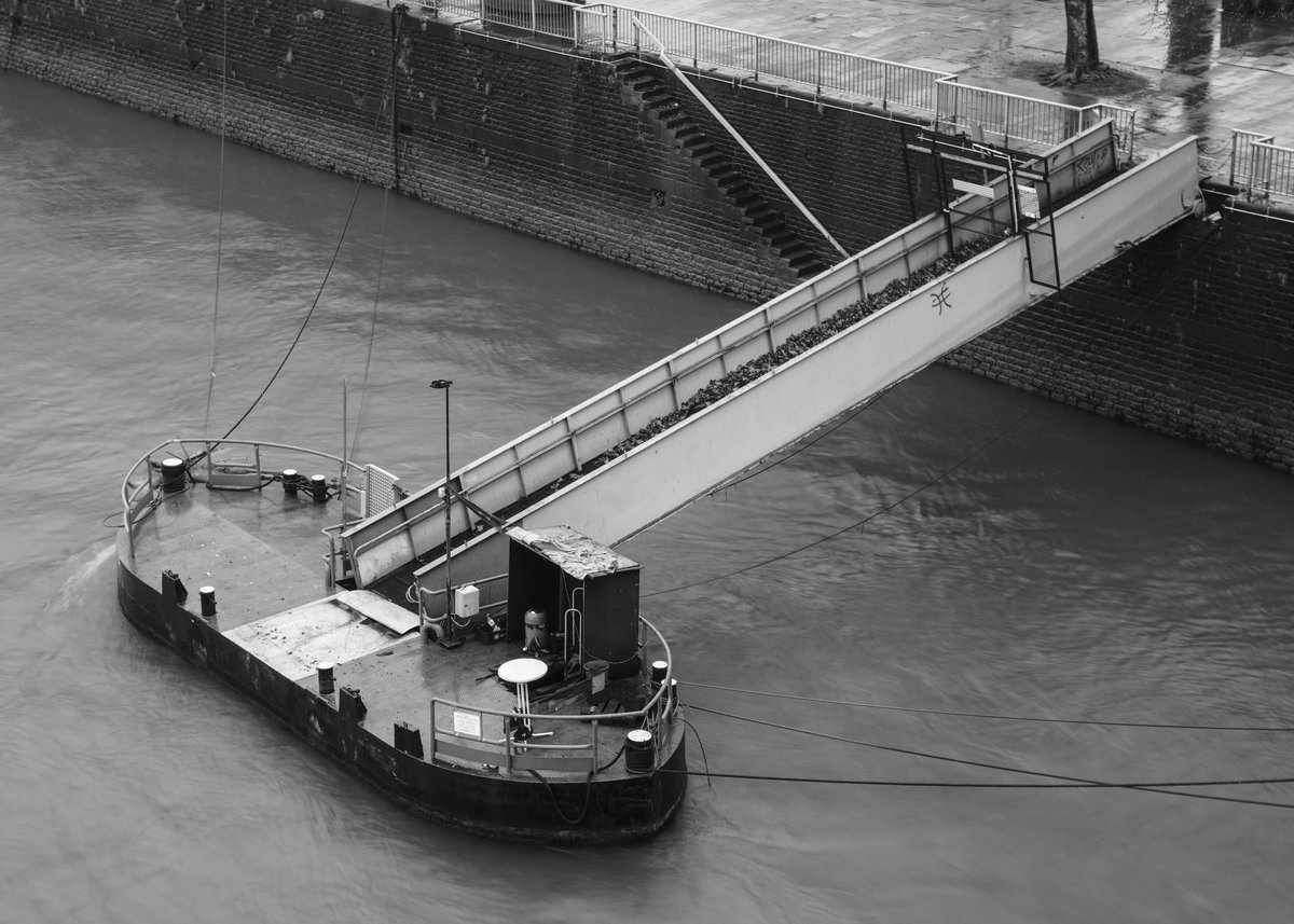 Maxie Meier tweet media