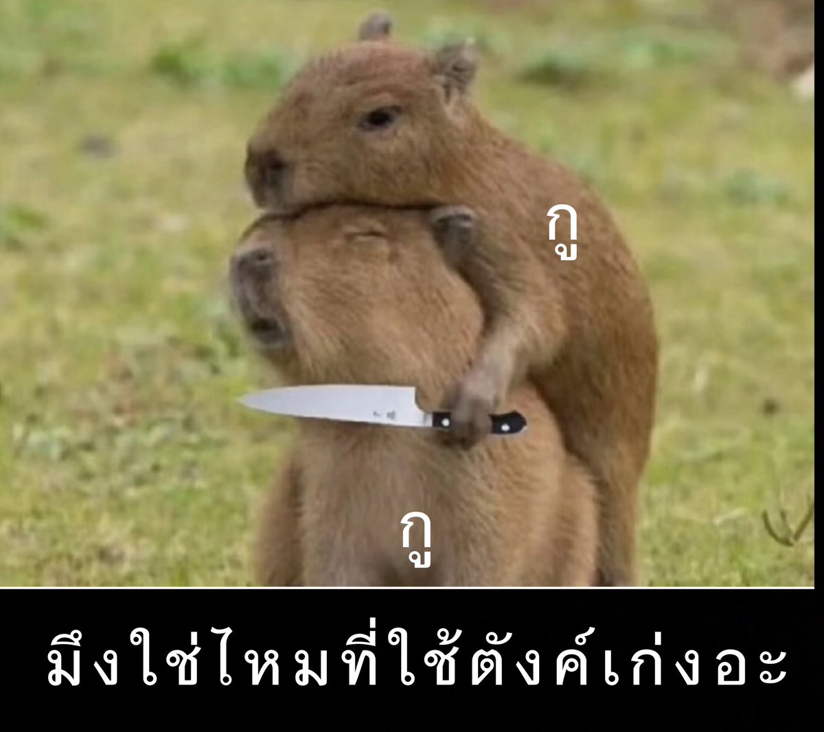 อีนังตัวดีย์ 5555