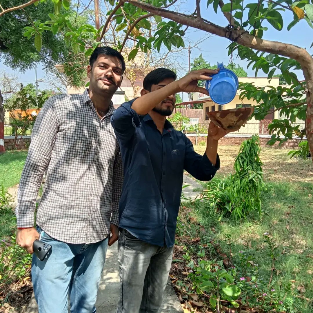 RAVIMEG67716732's tweet photo. अभाविप झालावाड़
#सेल्फी_विद_परिंडा_अभियान के दौरान कार्यकर्ताओ ने महाविद्यालय में  बेजुबान पक्षियों के लिए परिंडे बांधकर दाना-पानी की व्यवस्था की।

#ABVP  #SFD #Jhalawar #SelfiWithParinda https://t.co/1dcc3qaH6u
