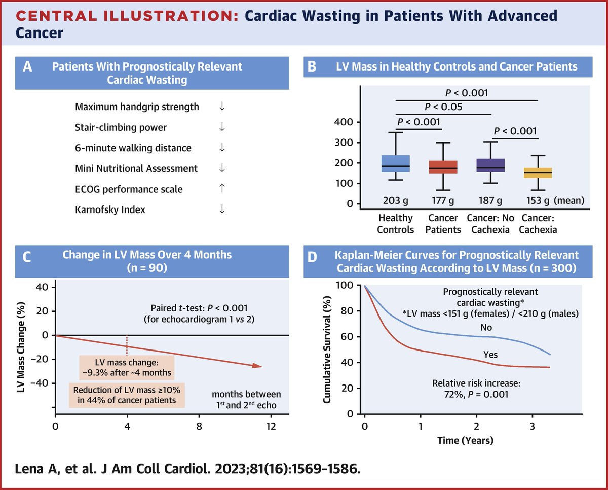 Evidence of a cardiac wasting-associated cardiomyopathy in cancer where low LV mass was associated with poor functional status and increased all-cause mortality.  pubmed.ncbi.nlm.nih.gov/37076211/
