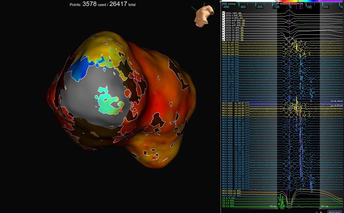 Jacqueline Held tweet media