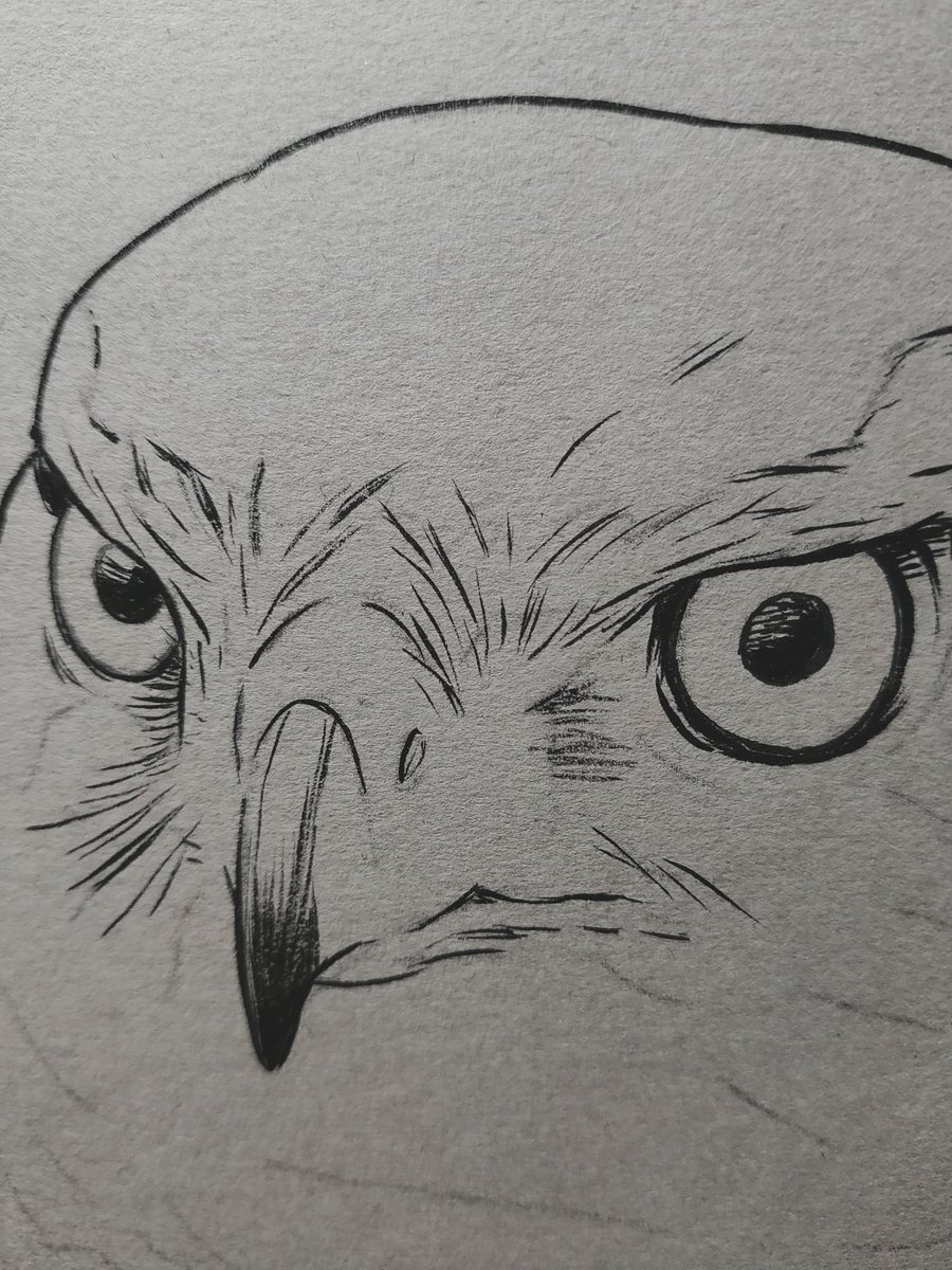 いろいろ描き方を試してみたけど、結局わたしは線で描くとこに落ち着くようで🤔 
