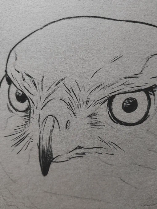 いろいろ描き方を試してみたけど、結局わたしは線で描くとこに落ち着くようで🤔 