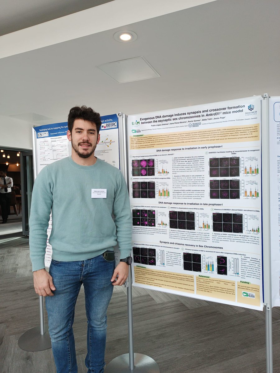 Evomeiosis_UAM tweet media