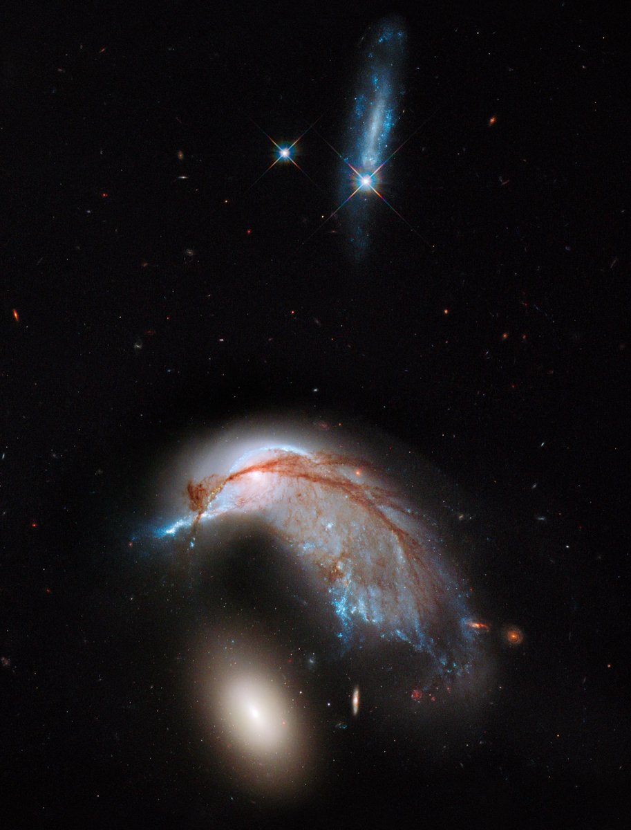 Happy #WorldPenguinDay! 🐧

This Hubble view of interacting galaxies, known as Arp 142, resembles a penguin with its egg.

In reality, this galactic pair reside about 326 million light-years away in the southern constellation Hydra: go.nasa.gov/3V1SHsV