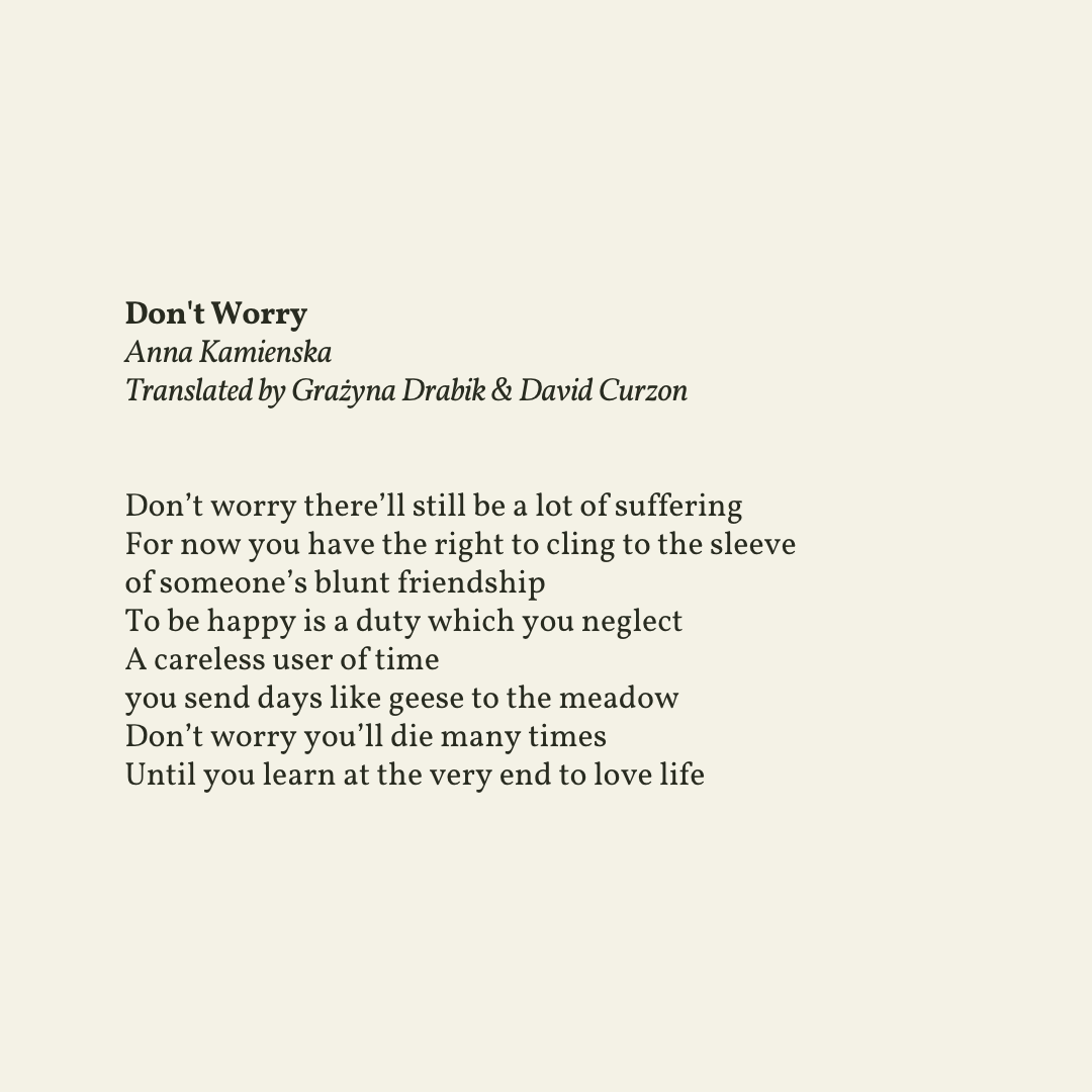 Dont Worry About Me Quotes