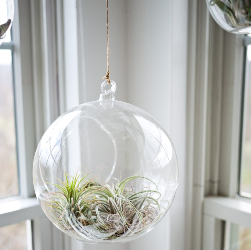 Articulture Designs tweet media