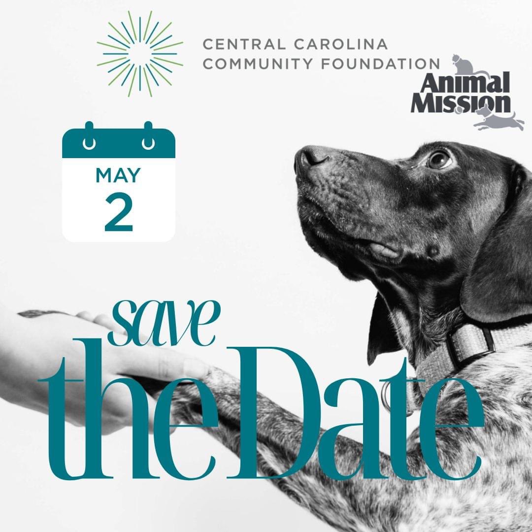 Animal Mission tweet media