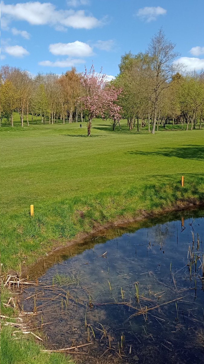 Blossom on the trees and leaves coming out. If it dries up it's got to be golfing time.