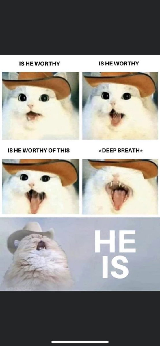 I love <a href="/AndrewPeterson/">Andrew Peterson</a> and I love the song but now I can’t not think of this image when it plays #isheworthy #catpics #christianmusic