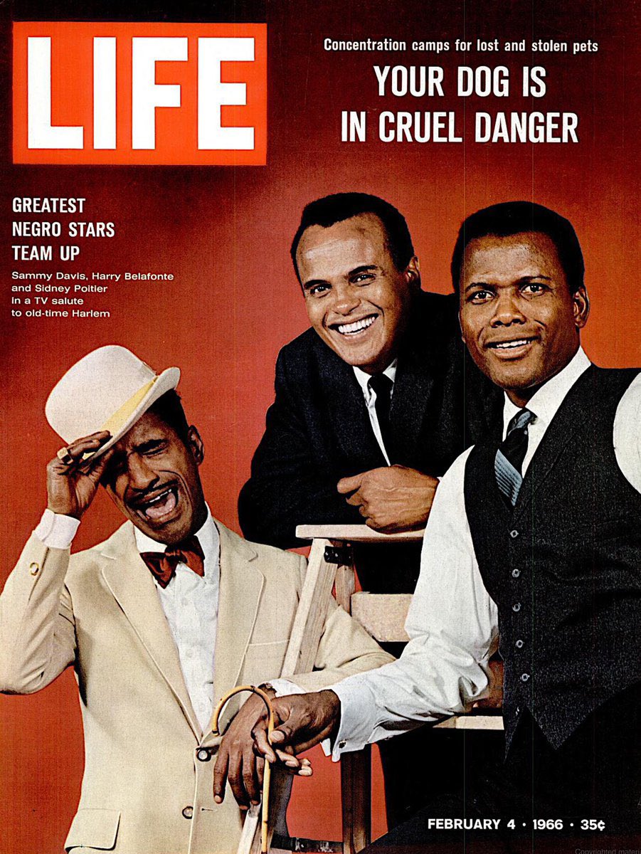 #blkcreatives netwrk🏁 tweet media