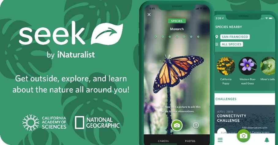 CitSciSDU's tweet photo. Har du fundet en blomst eller insekt eller ..., og i tvivl om, hvad det er? 🐛🐝 Så åbn Seek appen og se, hvad det er! https://t.co/OwFbS0v0Ic - her hjælper du forskere med at kortlægge dyre- og planteliv, mens du selv lærer om naturen 🐞
#scistarter #csmonth2023 https://t.co/kFhqb49OQo