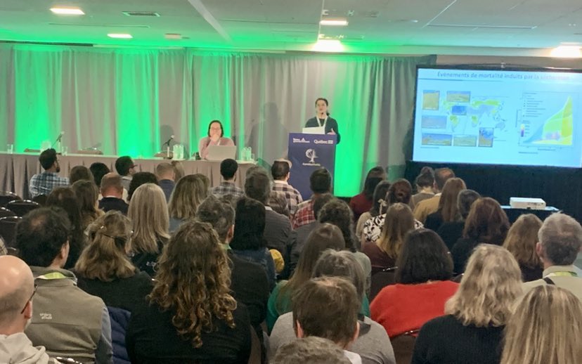 ReseauUQ's tweet photo. 🌲#carrefourforets @mrnfqc 
Ce matin, @MorganeUrli, prof @uqam a parlé de la vulnérabilité des #forêts boréales et tempérées nordiques dans un monde plus chaud et sec

#climat #changementsclimatiques
@rechercheUQAM @BioUqam @CEF_CFR @UrliLab https://t.co/f38W8z321o