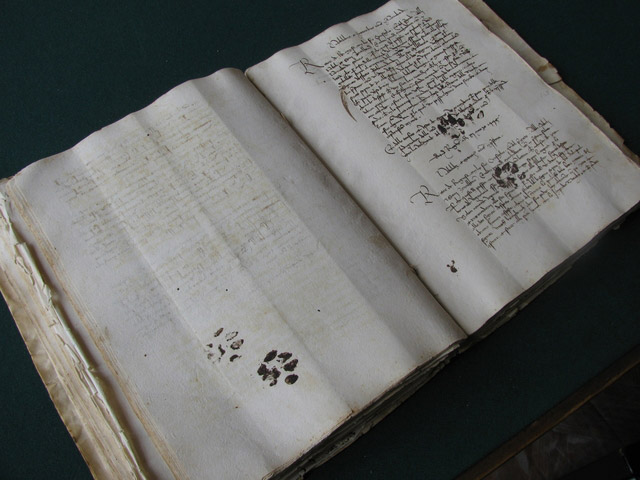 Inky paw prints left by a cat on a 15th-century manuscript.