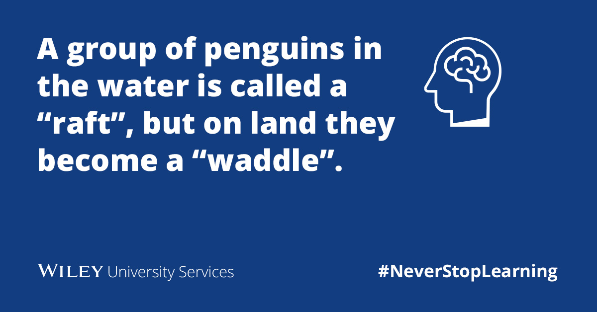 WileyUniServcs's tweet photo. #WorldPenguinDay π§ #NeverStopLearning #SmartToFinish https://t.co/1zUUz97lJl https://t.co/RPBNhi1ssJ