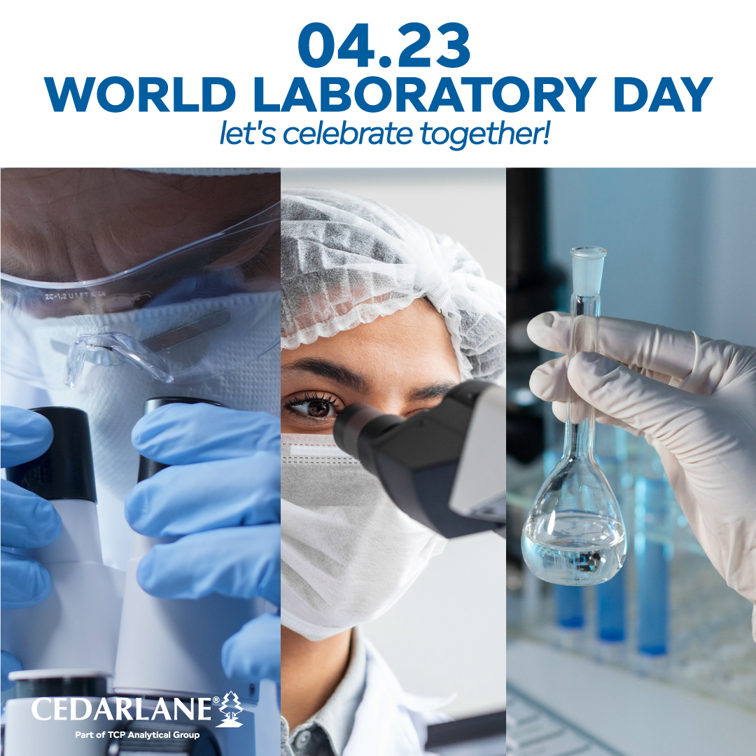 Cedarlane tweet media