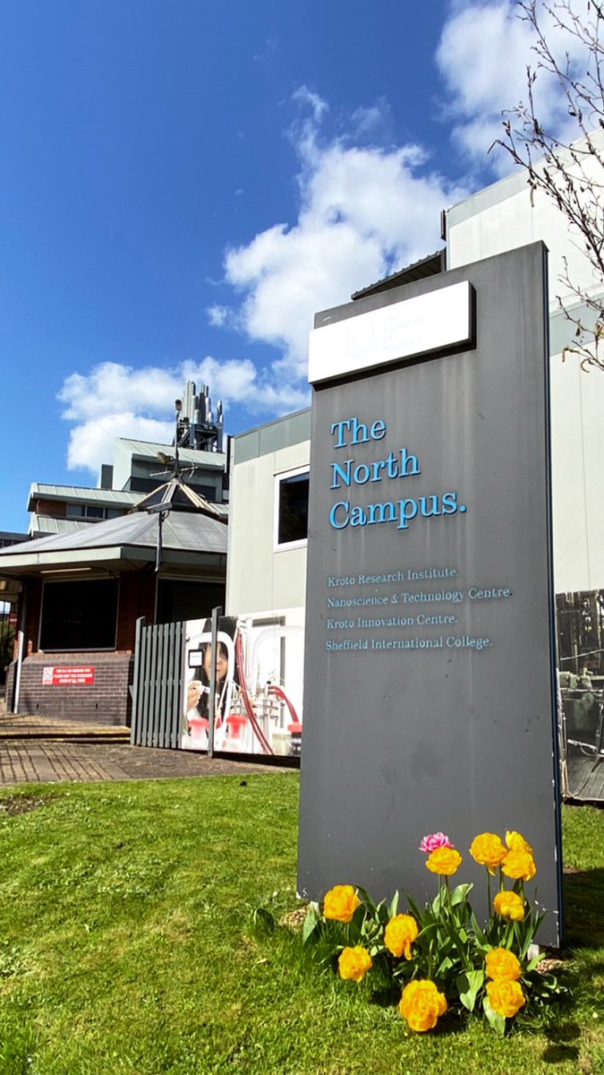 Dila_htn's tweet photo. 🌺Spring is on campus.. 🧚🏻♀️🤗
🧚🏻♀️ Springfield😋
👩🏻🔬PhDiaries👩🏻💻
@Shefbiomat @BioengShef @BioengShef
#WomenInScience #WomenInSTEM #Neuroscience #PeripheralNerve #Bioplastics #SustainPlastics #PHAsT #PHA #GreenPolymer #sinirbilim https://t.co/BqI4r4iC2h