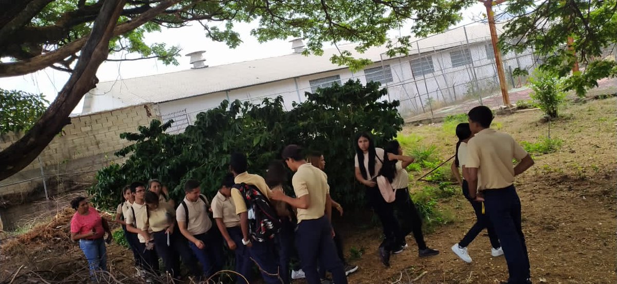 IncesAragua3's tweet photo. También desde el CFS Villa de Cura. ¡Ya inició! UC Jardineria y UC Cultivo de Hortalizas en Huertos. #VenezuelaTerritorioDePaz #25Abr Nuestra misión de vida es 📚📷 #FormarProduciendo y #ProducirFormando
@_LaAvanzadora
@WuikelmanAngelP
@MPPEDUCACION https://t.co/y53G6mXySB