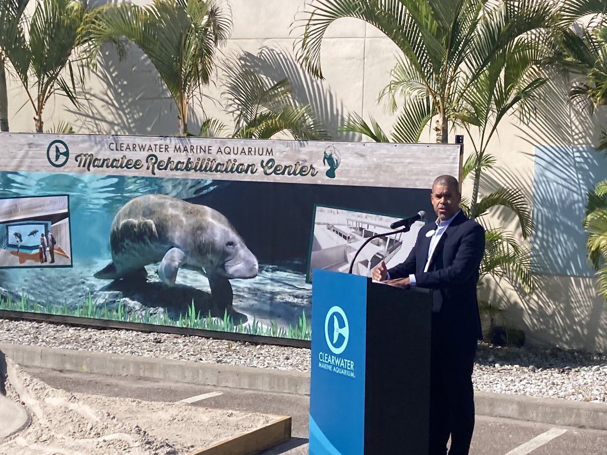 Joe Handy, CEO of Clearwater Marine Aquarium, announces ground has been broken for a new manatee rehabilitation facility as a record number of the mammals are dying. ⁦<a href="/wusf/">WUSF</a>⁩