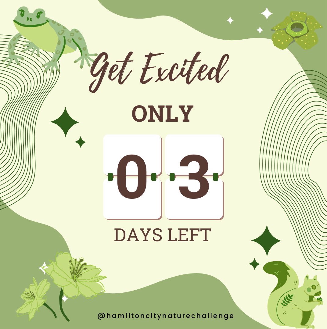 The #CityNatureChallenge begins in 3 DAYS! 
Here is a reminder of some best practices for all nature lovers to follow:
🌱Stay on marked trails
🌱Leave no trace
🌱Obey all posted signage
🌱Keep a safe distance from wildlife
#HamOnt #iNaturalistCanada #Hamilton #cwf #cwf_fcf