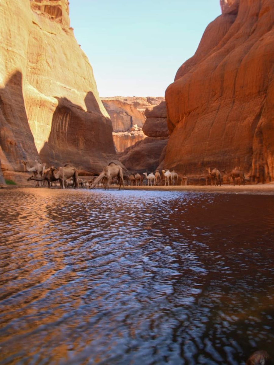 Chadvolonteers's tweet photo. La réserve naturelle et culturelle de l'Ennedi RNCE avec ses merveilles.
#cvo #visitchad #RNCE 💙💛❤️ https://t.co/SUM6Kdv78E