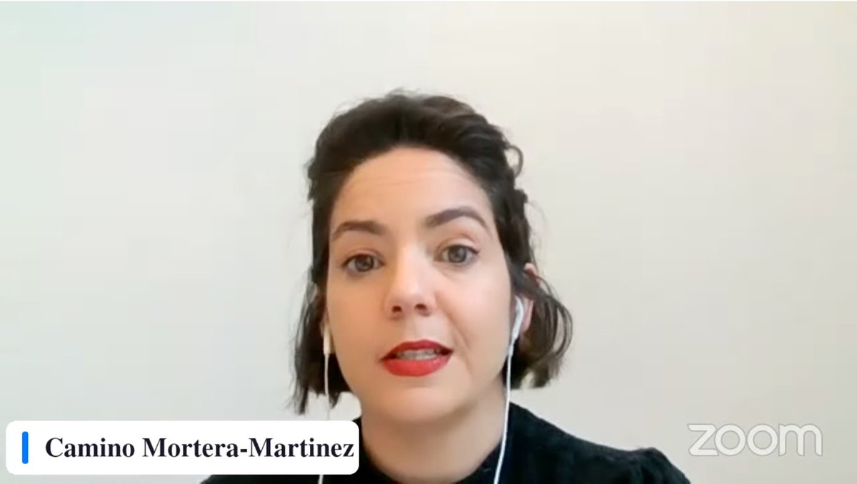 DemocracyR's tweet photo. .@CaminoMortera makes the optimistic case for the EU. She thinks that with the pandemic and the war the EU has changed forever.
"We now are talking about health, energy and defence at the EU level. We have a public space where these topics are being discussed".
#SEEEDs https://t.co/GueJRTq9Ow