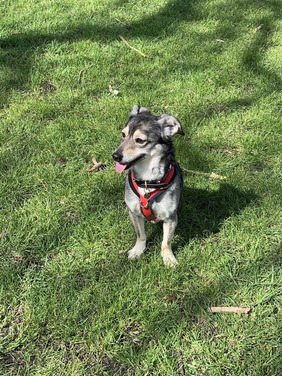 Aftanoon walk an encounter wiv Mr Heron.