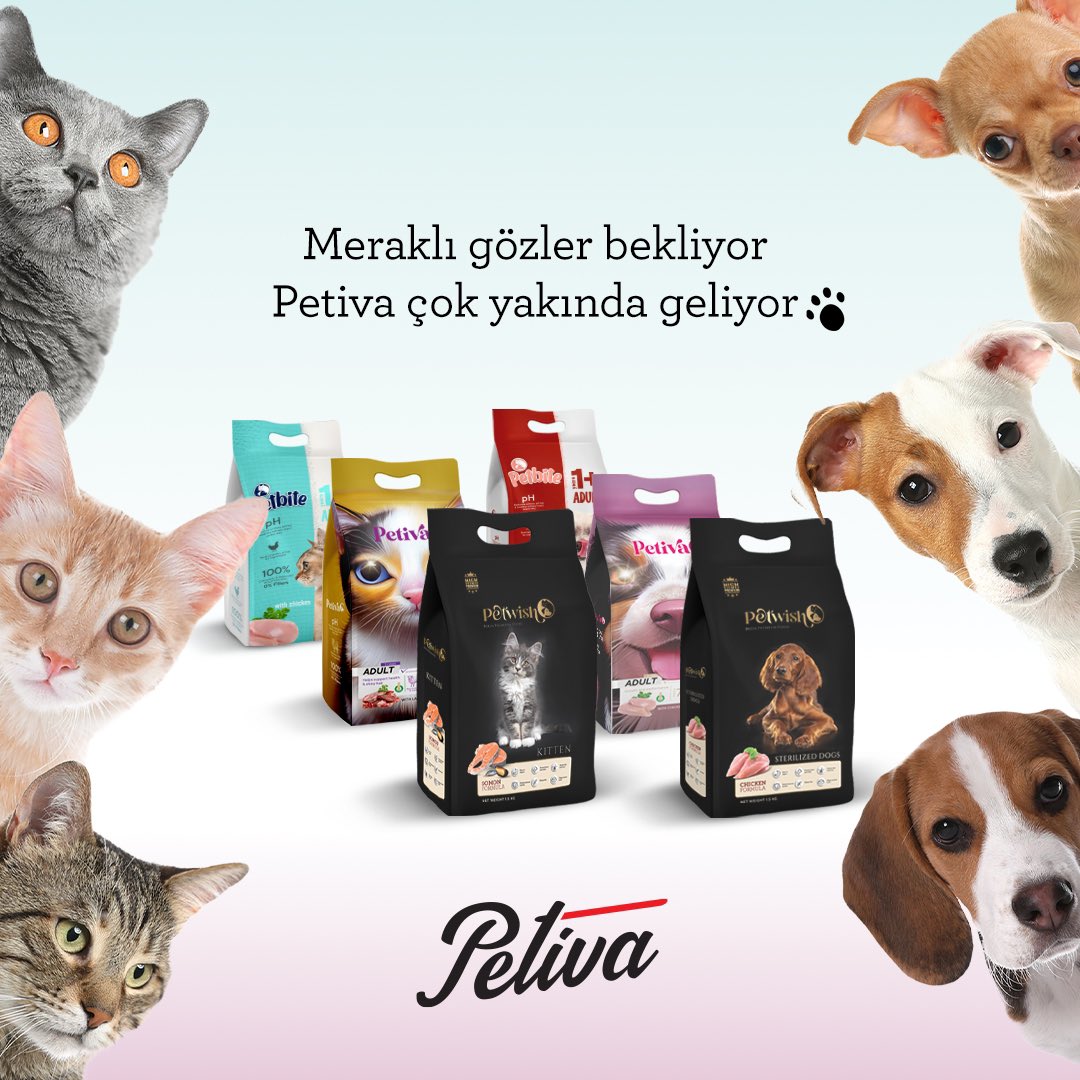 deep360official's tweet photo. Meraklı miniklere harika bir haberimiz var!😻🐶 Yepyeni ve lezzetli mi lezzetli mama markamız PETIVA pek yakında raflarda, tüm iletişim çalışmaları ise Deep360’ta. Hoş geldin PETIVA!💓🐾

#Deep360 #Petiva https://t.co/eliX5ZtpBl
