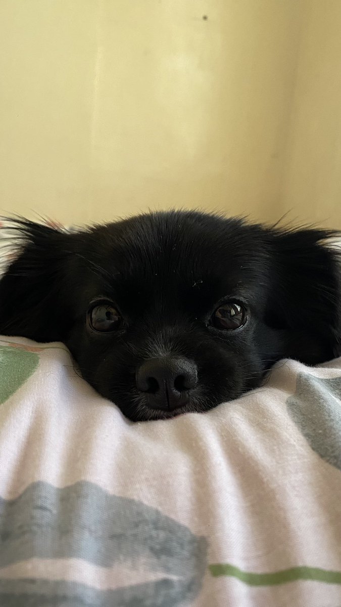 PIYERm's tweet photo. I miss you mika😭 2 weeks na tayo d nag kikita😞 https://t.co/Af4LyUx0qP