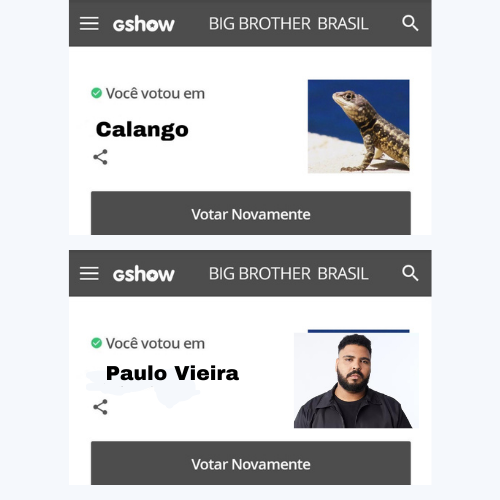 fabiana92679854's tweet photo. EMPATE TÉCNICO DOS VERDADEIROS CAMPEÕES DO BBB23 #PAULOVEIRA E #CALANGOPISCINA FOCO GSHOWWW GENTE https://t.co/3O8Wy2rT83