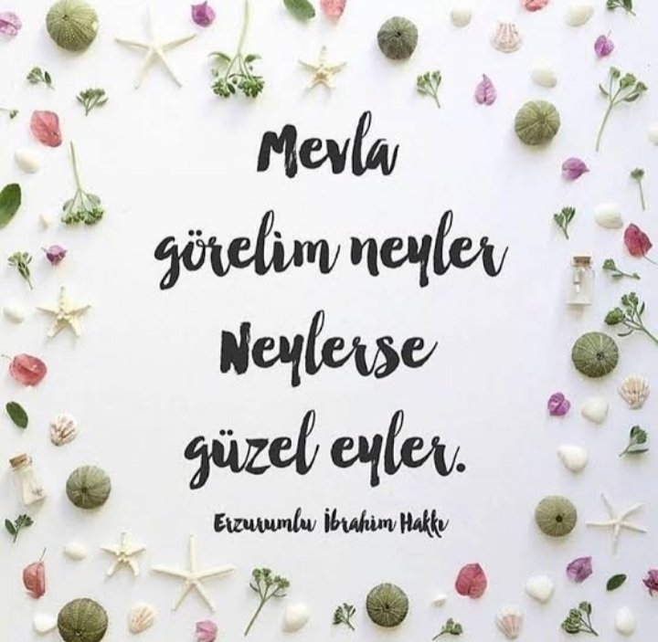 EsraCkmk9's tweet photo. İlave 55 bin atama için ortam müsait, biz zaten dünden hazırız
@RTErdogan
#Mevlam55BinÖğretmenEyler https://t.co/p4hGLFtIPX