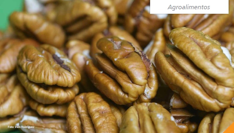 NOVEDADES REVISTA INIA

✅Las nueces pecan como fuente de nutrientes esenciales para una dieta saludable
▶️inia.uy/Publicaciones/…