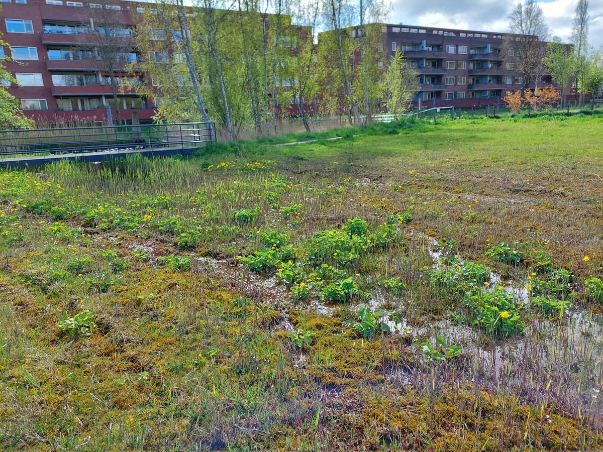 ecoloog079 tweet media